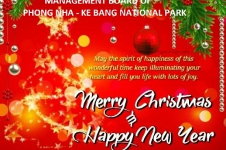 Merry Christmas and Happy New Year 2021